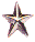 Brigadier General